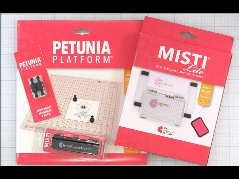 Видео: ЛЕГКИЙ ТУМАН