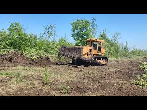 Видео: Корчування саду бульдозером Т-130