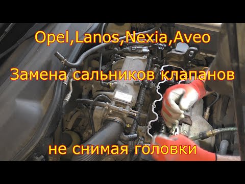 Видео: Замена сальников клапанов без снятия ГБЦ,Opel,Lanos,Aveo,Nexia