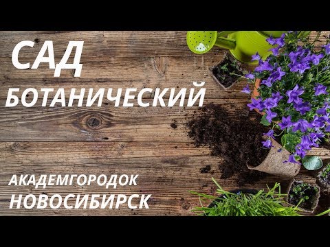 Видео: Ботанический сад в Новосибирске Академгородок