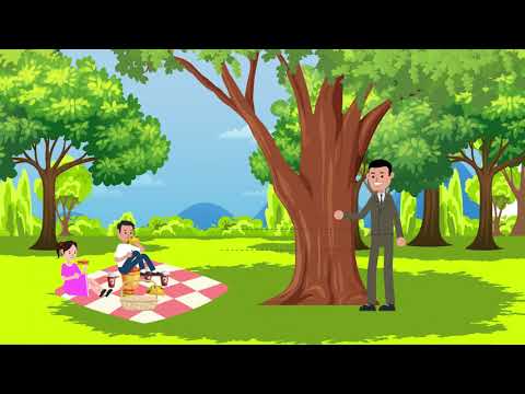 Видео: Урок №9. Ағаштар қалай өседі?