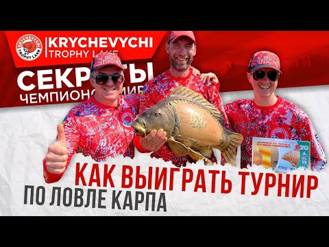 Видео: Как выиграть турнир по ловле карпа