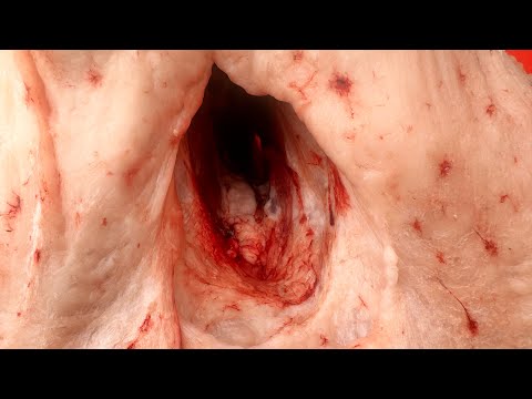 Видео: Самарканд! Омонкутан готовим сочный шашлык 