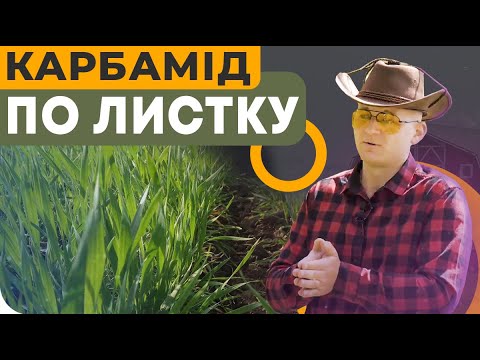 Видео: КАРБАМИД ПО ЛИСТУ КОМПЕНСИРУЕТ АЗОТ🤔?