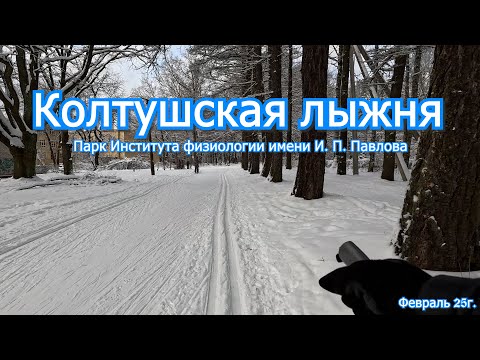 Видео: Колтушская Лыжня
