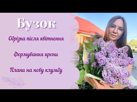 Видео: БУЗОК після квітнення 🌸 ОБРІЗКА та Формовка КРОНИ ✂️ Мої плани на НОВУ КЛУМБУ 🍀 Мотивація 🌟