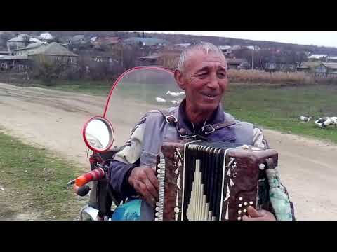 Видео: Твардица частушки 3