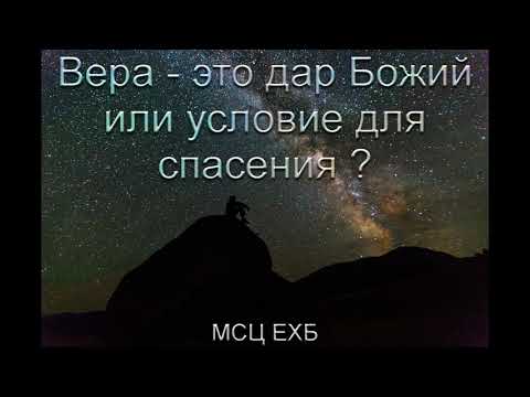 Видео: "Вера - это дар Божий или условие для спасения?". С. И. Бублик. МСЦ ЕХБ.
