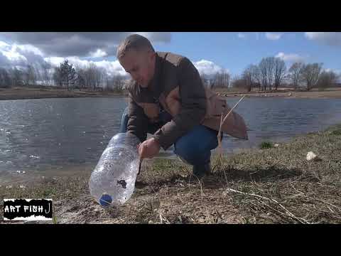 Видео: Наконец то забросил ловушки на жука плавунца