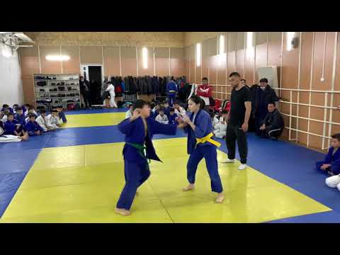 Видео: Дзюдо. Стенка на стенку