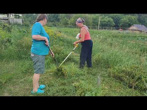 Видео: Мы идём косить.