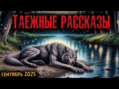 Видео: ТАЁЖНЫЕ РАССКАЗЫ | Страшные истории
