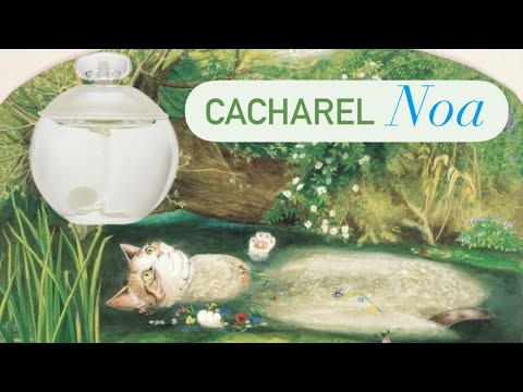Видео: Noa Cacharel🤍 обзор и сравнение с аналогом👀. Моя нежная пудра☁️🤍🩶.