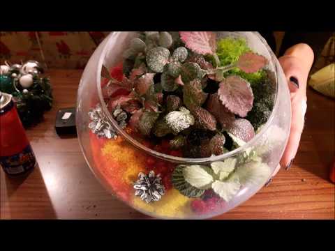 Видео: DIY: Флорариум самый простой и красивый/ЗАСНЕЖЕННЫЙ САД