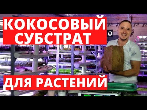 Видео: Кокосовый субстрат для растений Микрозелень Рассада Буферизация как замочить кокосовый субстрат