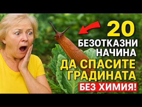 Видео: ГОЛИ ОХЛЮВИ ИЗЯЖДАТ ЦЯЛАТА РЕКОЛТА! 😱 20 безотказни начина да спасите градината (БЕЗ химия!)
