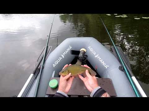 Видео: Линь, где и как поймать. Секретный ингредиент в прикорму. Рыбалка на поплавок. В поисках линя.