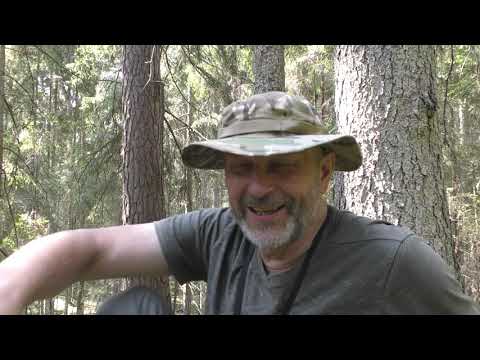 Видео: Как я изучал средневековое подземелье