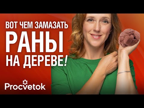 Видео: КАК ВЫЛЕЧИТЬ РАНУ НА ДЕРЕВЕ? Старинный рецепт целебной замазки от биолога