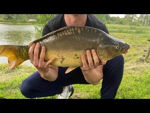 Видео: ТАКОГО Я НЕ ОЧІКУВАВ.ГАЧКИ НЕ ВИТРИМУЮТЬ КАРПІВ.#fishing#риболовля#carpfishing#ловля карпа#короп