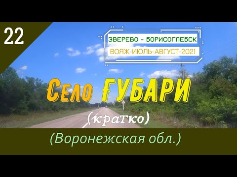 Видео: Село ГУБАРИ (кратко)/#22 -Воронежская обл./Август -2021
