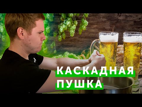 Видео: Варим «Каскадную пушку» / домашнее пиво с хмелем Каскад (Cascade) / рецепт светлого эля