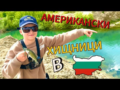 Видео: АМЕРИКАНСКИ ХИЩНИЦИ В БЪЛГАРИЯ! РАЗБИВАЩ риболов на БАС с @VenciFishing на примамка за 1,50лв.