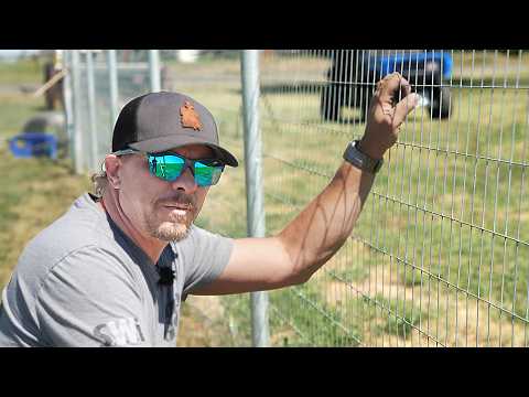 Видео: Каждый выбирает неправильную проволоку для забора