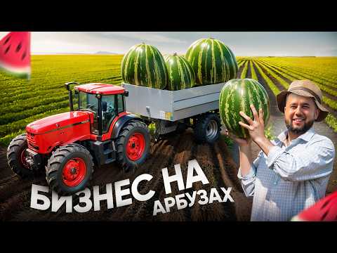 Видео: Бизнес на арбузах. Секреты фермера. Выращивание арбузов