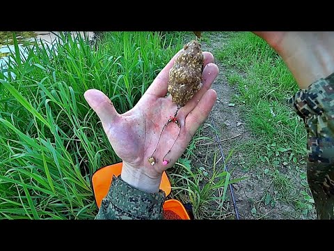 Видео: НАШЁЛ НОВОЕ МЕСТО ЛОВЛИ ЛЕЩА ДОНКАМИ НА ТАЁЖНОЙ РЕКЕ С НОЧЁВКОЙ УЛОВИСТЫМ МОНТАЖЁМ НА ПЕНОПЛАСТ...