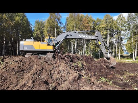 Видео: Как он работает. Расчистка участка под дом. Гусеничный экскаватор решает проблемы.