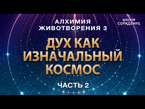 Видео: Дух как изначальный космос в человеке #АлхимияЖивотворения3 #Гарат #дух #ЖивыеСеминары