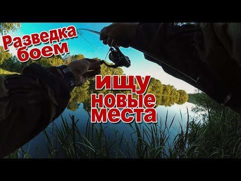 Видео: Как ловить хищника в июне | Разведка боем, или как я искал новые места