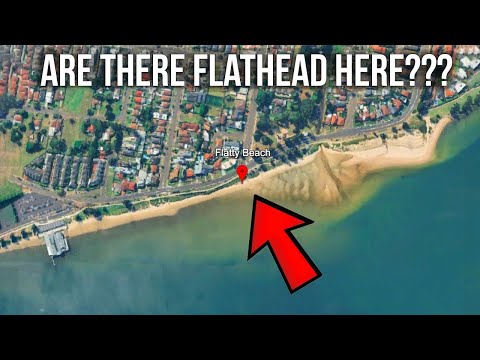 Видео: Рыбалка на пляже Флэтти — водится ли здесь плоскоголовый окунь?