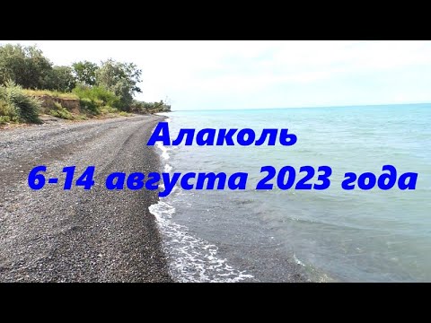 Видео: Алаколь 2023 год