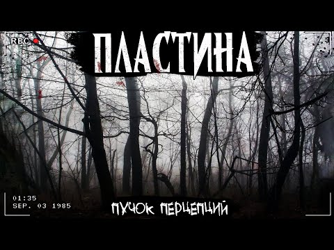 Видео: ПЛАСТИНА | ЖУТКИЕ РИСУНКИ | Страшная история