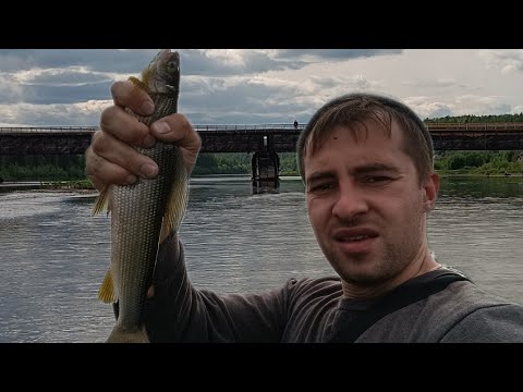 Видео: рыбалка на хариуса. река Вижай