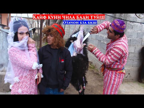 Видео: Дамгири Чила бади Туйш.Отачон Бза бкш Асалма Гушт форидесай