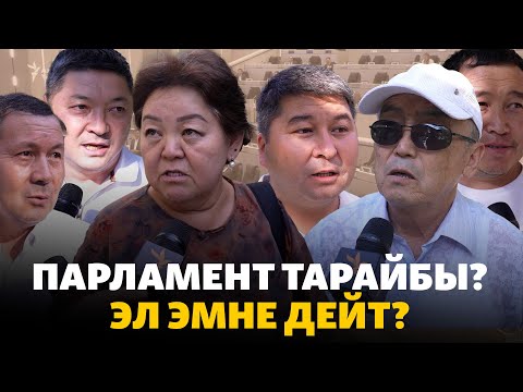 Видео: Парламент тарайбы? Шаардыктардын ою кандай?