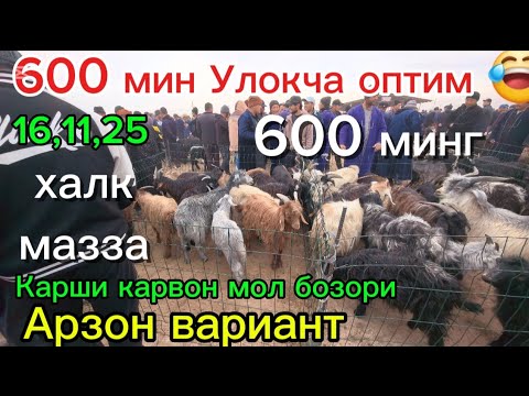 Видео: Эски Сарка Улокча 600 минг оптим нархда Карши карвон мол 🐄 бозори