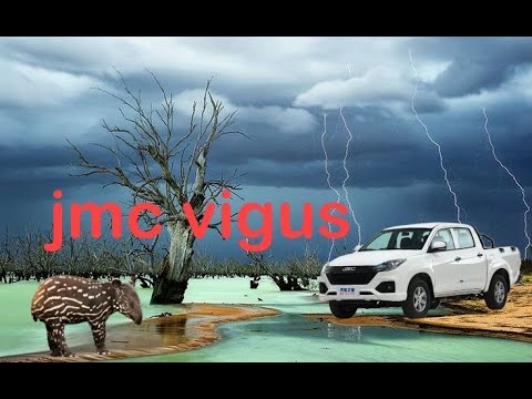 Видео: jmc vigus от китайской компании Jiangling Motors Corporation.