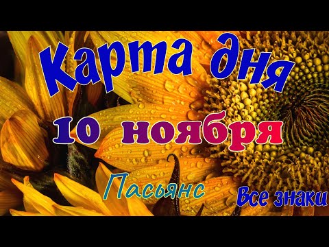 Видео: Карта дня🍁 10 ноября🌾 🌞Пасьянс. Тайм-код а описании🦢