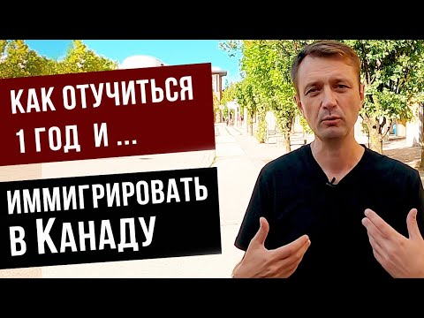 Видео: Как отучиться 1 год и иммигрировать в Канаду