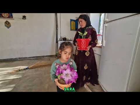 Видео: Сара: посол иранской культуры на местной весенней уборке! 🕊️