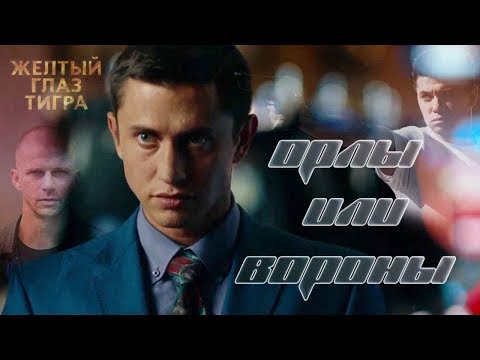 Видео: Жёлтый глаз тигра / Орлы или вороны