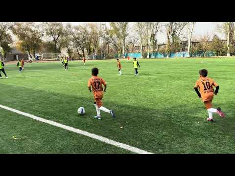 Видео: 3 ноября 2025 г.