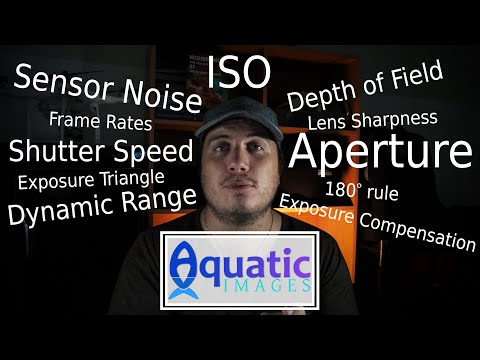 Видео: Мастер ручной экспозиции для подводного видео