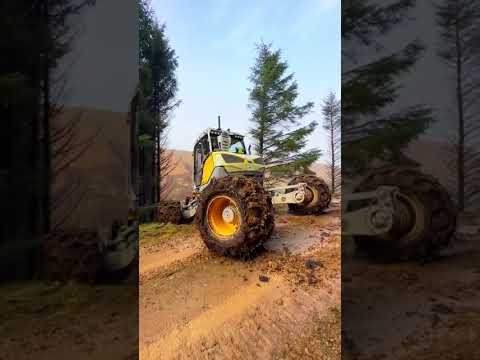 Видео: 🟢 BI300 Лесные валочные ножницы @OMEFGROUP на экскаваторе Menzi Muck