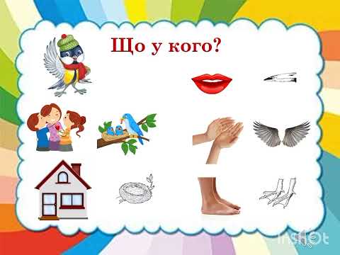 Видео: Вікторина - гра "Що ти знаєш про птахів". дитина у природному довкіллі.