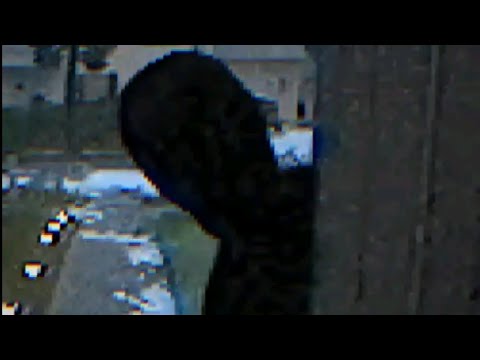Видео: Манайд нэг халзан хүн орж ирэх гээд байна (Fears to Fathom:Home Alone)